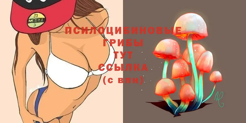 Галлюциногенные грибы Psilocybine cubensis  блэк спрут сайт  Белорецк 